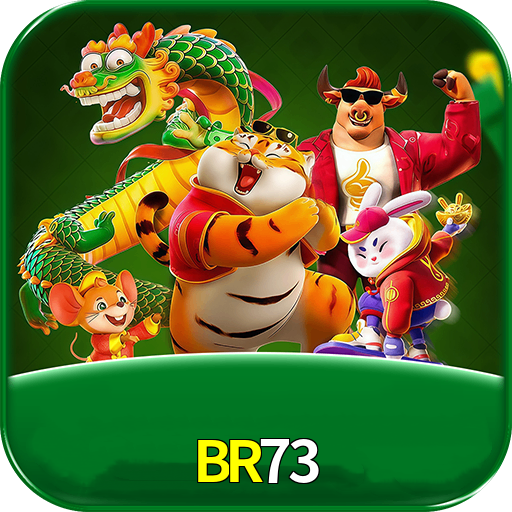 BR73